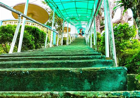 Experience Bohol: Chocolate Hills View Deck | Miked's Travel PH