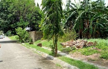 Lot For Sale in Balibago , Santa Rosa | Lamudi