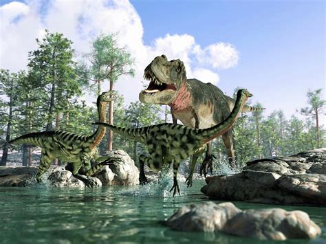 Tyrannosaurus Rex Hunting, Artwork by Science Photo Library - Leonello ...