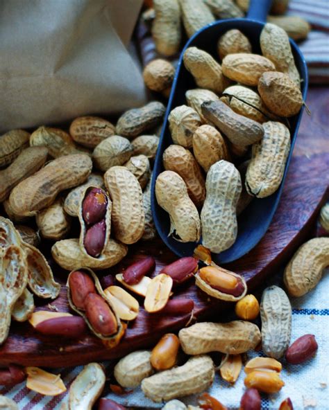 Easy Roasted Peanuts in the Shell - Southern Discourse