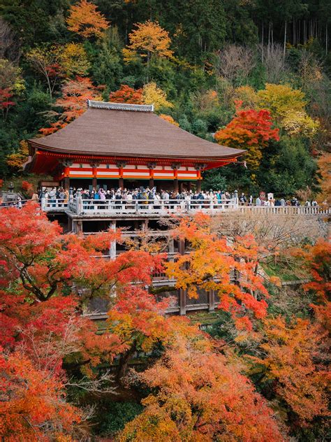 Kyoto in Autumn | Best Spots for Catching Fall Foliage