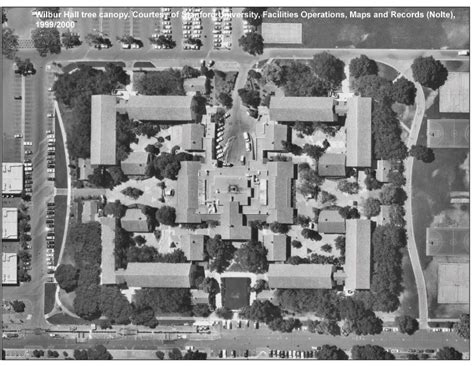 Trees of Stanford Historical Records