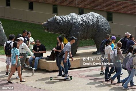 590 University Of California Los Angeles Mascot Stock Photos, High-Res ...