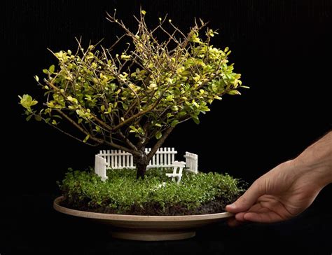 Bonsai Miniature Garden | Aneka Ragam Bentuk Bonsai