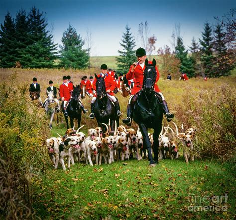 The Fox Hunt Photograph by Bert Hoferichter - Pixels