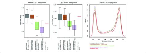 | Assessment of overall CpG methylation and CpG island methylation ...