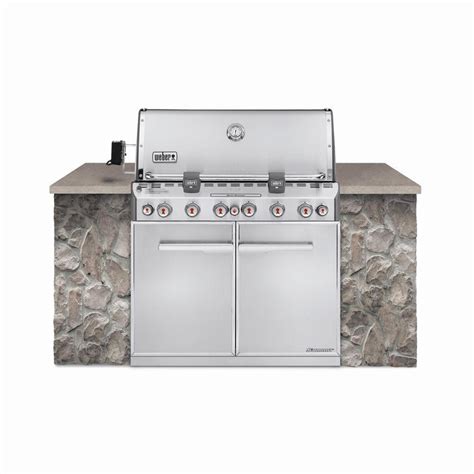 Weber Summit S-660 6-Burner Built-In Propane Gas Grill in Stainless ...