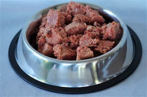 Raw dog food may kill – Michael Broad