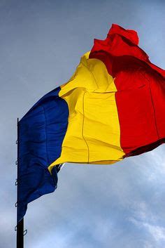 Flag of Chad - History of Chad Flag - Chad Flag - Map of chad | Flag, Chad flag, Flags of the world
