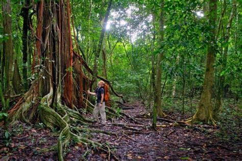 Hiking Corcovado National Park: A Wildlife Adventure • Expert Vagabond