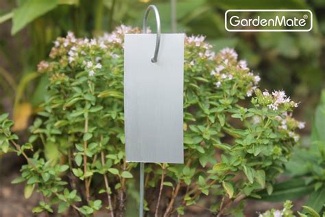 Amazon.com : GardenMate Set Of 25 Metal Plant Label Hook : Patio, Lawn ...