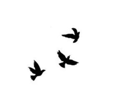 Three Flying Birds Silhouette