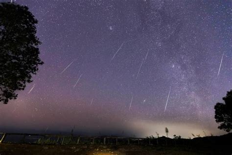 Ursids meteor shower set to illuminate the sky tonight as it reaches ...