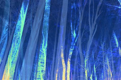 Buy Forest Trees Night Blue wallpaper - Free shipping