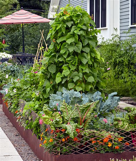 Vegetable Garden Design Unique