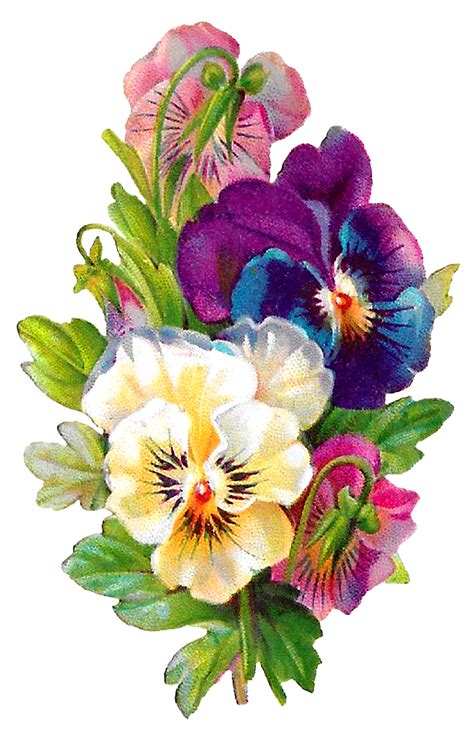 Antique Images: Wildflower Art Pansy Flower Clipart Antique Botanical ...