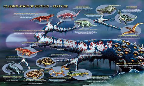 CLASSIFICATION OF REPTILES - Dino's Maps