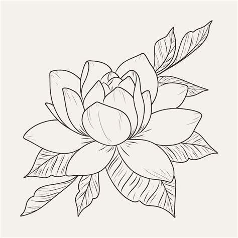 Lotus Flower Outline Free Vector | Best Flower Site