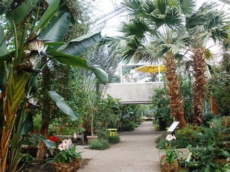 Indoor Fun: Matthaei Botanical Gardens Conservatory, Ann Arbor - Brooke Romney Writes