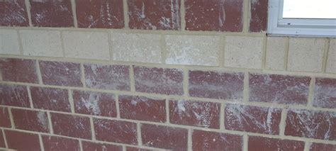 Brick Cleaning & Excess Mortar Removal - Get a Free Quote | Kleenit