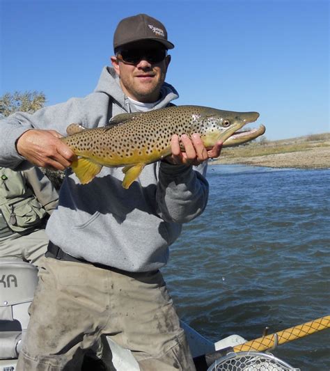 Wyoming Fly Fishing Guides - 307 River Sports