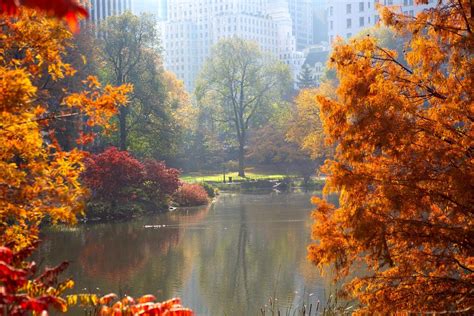 Autumn Central Park New York Wallpapers - Wallpaper Cave