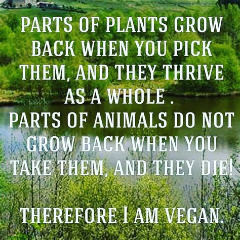 Pin by Vamanos Vegan on Plants have feelings | Plants have feelings, Plants, Herbs