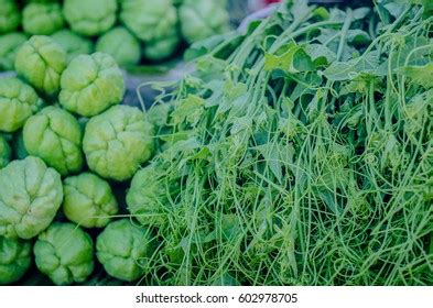 Green Leafy Vegetables Stock Photo 602978705 | Shutterstock
