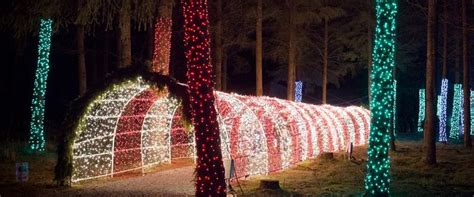 Christmas in the Garden - The Oregon Garden | Oregon garden, Oregon ...