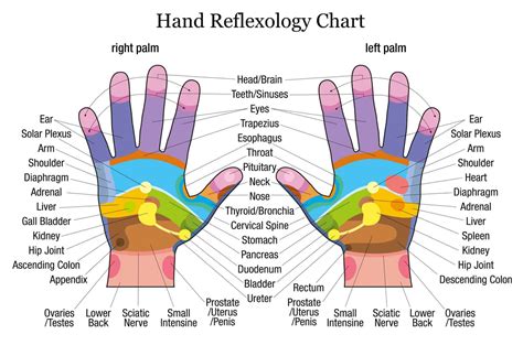 Hand Therapy | When You Touch These Points on Your Hands