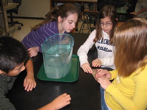 Mr. Williams 6th Grade Science Blog: Sink, Float, and Density