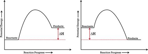 11.6: Rates of Reactions - Chemistry LibreTexts