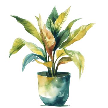 Watercolor House Plant Ai Generative, Pot, Houseplant, Watercolor PNG Transparent Image and ...