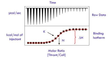 Isothermal Titration Calorimetry | Department of Chemistry | ECU