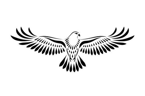 White Hawk Tattoo Illustrations, Royalty-Free Vector Graphics & Clip Art - iStock