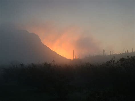 Fog in the Desert | Desert Mountaineer