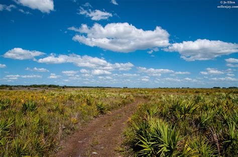 Oellenjay - Kissimmee Prairie Preserve