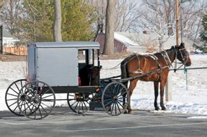 Borrowing Amish Christmas Traditions | Kate Lloyd, Author