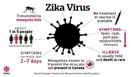 WHO Warns That Zika Virus Could Spread In The Coming Months