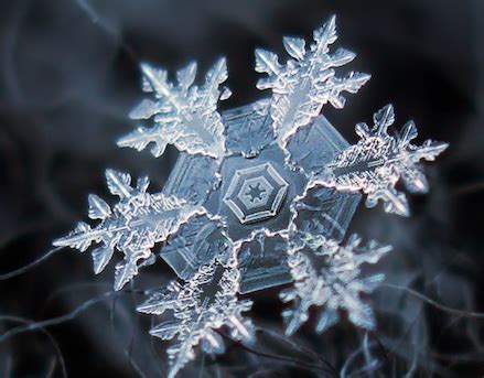 Why Are Snowflakes Beautiful? • Telluride Magazine