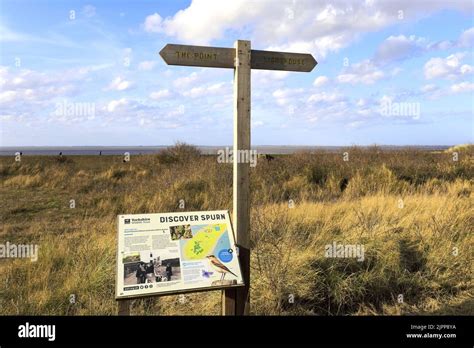 Humber estuary wildlife hi-res stock photography and images - Alamy