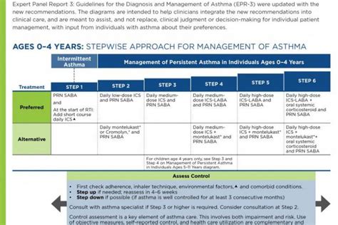 Naepp Asthma Guidelines 2024 - Cookie Merrilee