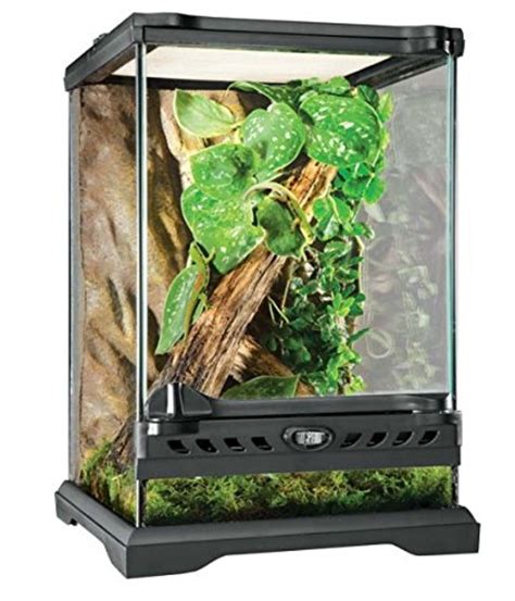 Tarantula Habitat: 20+ Awesome Tarantula Enclosures To Inspire You (IMAGES) - Tarantula Heaven