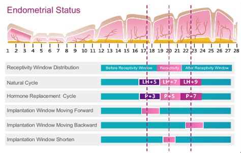 ERT (Endometrial Receptivity Test)