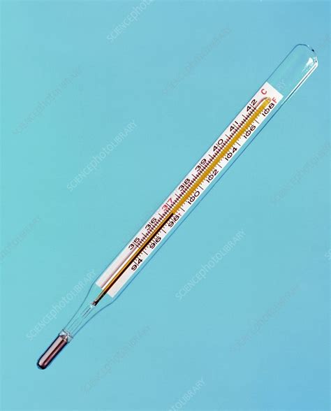 Clinical thermometer at normal body temperature - Stock Image - M390/0227 - Science Photo Library