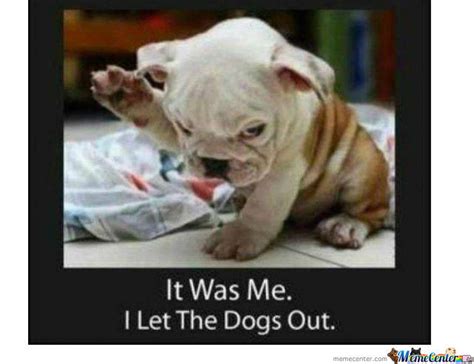 Guilty as charged | Who Let the Dogs Out? | Know Your Meme