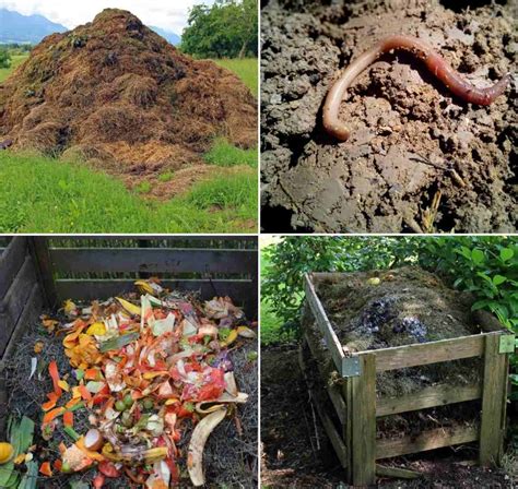 What is Compost, Types of Compost, Compost Methods | Agri Farming