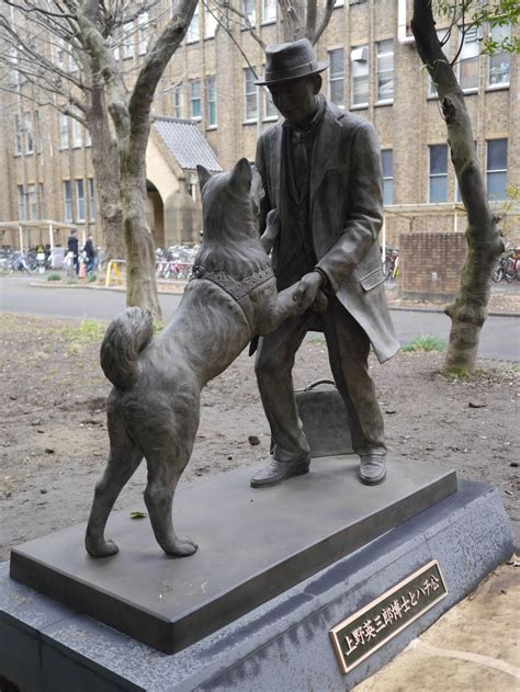 Hachiko’s new statue is now open to the public, and we’ve got pictures and video from our visit ...