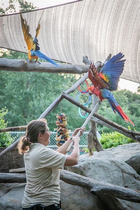 Charles Paddock Zoo's Ice Cream Zoofari back for 20th year • Atascadero News