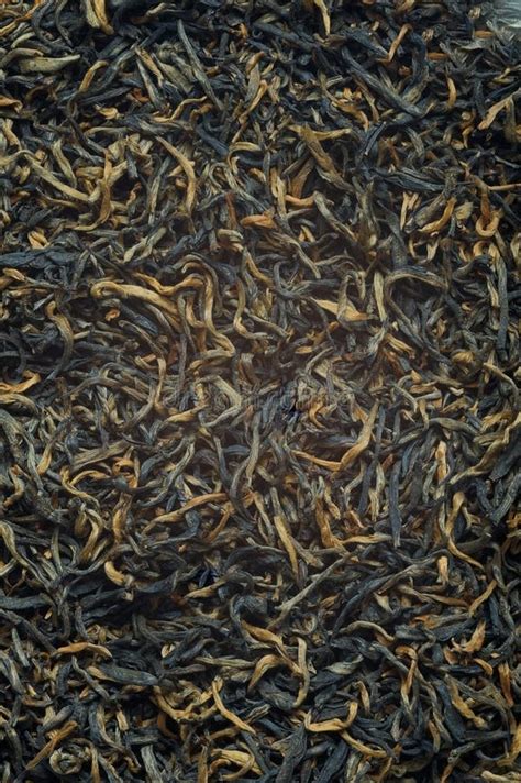 Black Tea Loose Dried Tea Leaves, Texture Stock Image - Image of lapsany, close: 21437853